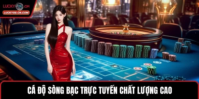 Cá độ sòng bạc trực tuyến chất lượng cao
