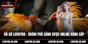 Đá gà LUCKY88