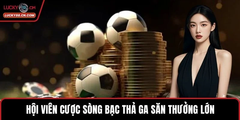 Hội viên cược sòng bạc thả ga săn thưởng lớn