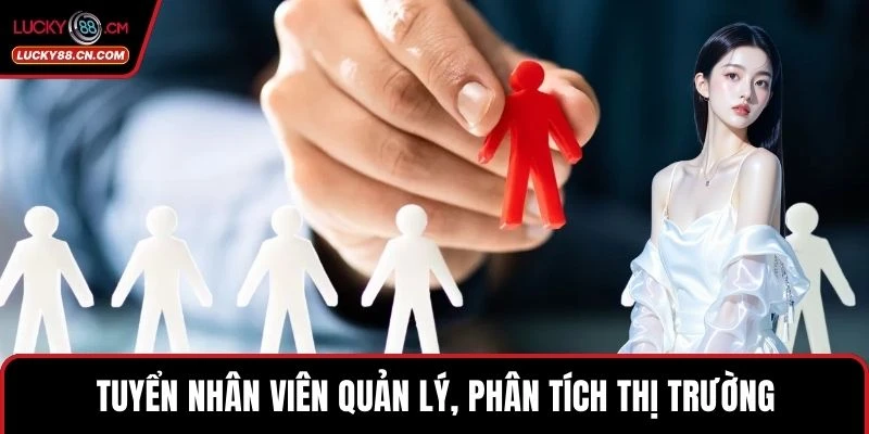 Tuyển Dụng LUCKY88 2 Tuyển nhân viên quản lý, phân tích thị trường